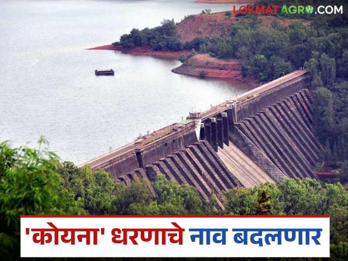 Koyna Dam reservoir to be renamed; Instructions to submit proposals | कोयना धरणाच्या जलाशयाचे नाव बदलणार; प्रस्ताव सादर करण्याच्या सूचना Koyna Dam reservoir to be renamed; Instructions to submit proposals | कोयना धरणाच्या जलाशयाचे नाव बदलणार; प्रस्ताव सादर करण्याच्या सूचना