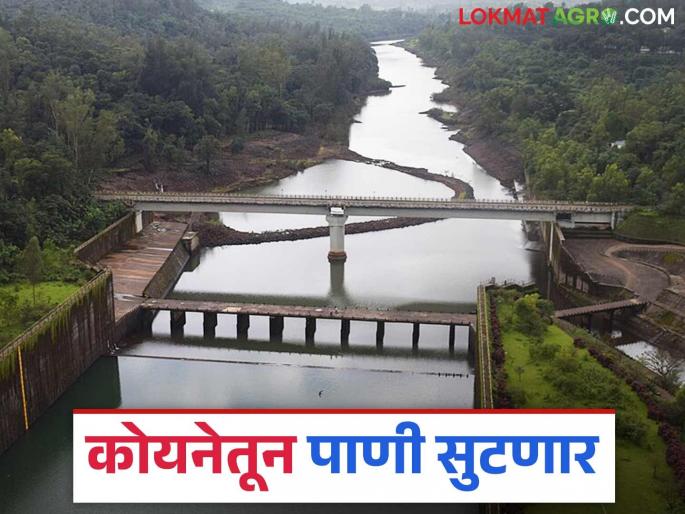 Koyna Dam : Additional 1,000 cusecs of water will be released from Koyna Dam from Today | Koyna Dam : कोयना धरणातून आजपासून अतिरिक्त १ हजार क्यूसेक पाण्याचा विसर्ग होणार Koyna Dam : Additional 1,000 cusecs of water will be released from Koyna Dam from Today | Koyna Dam : कोयना धरणातून आजपासून अतिरिक्त १ हजार क्यूसेक पाण्याचा विसर्ग होणार