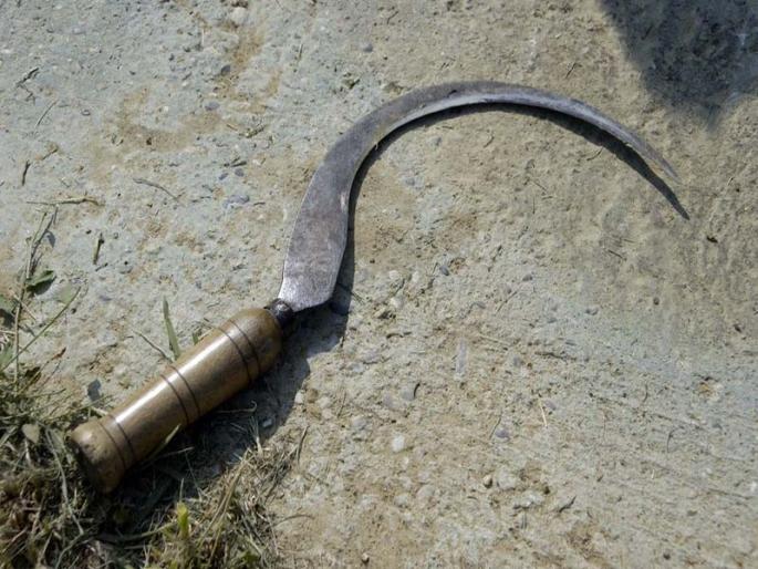 Pregnant girl murdered by pregnant girl | बदनामीच्या भीतीने वडिलांनी केली गर्भवती मुलीची हत्या