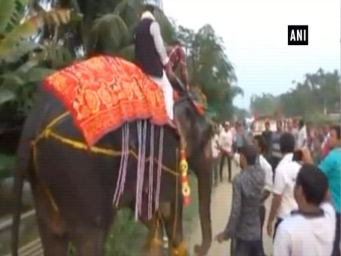 Video : assam deputy speaker kripanath mallah falls off elephant | Video : हत्ती पिसाळला अन् विधानसभा उप-सभापती कोसळले Video : assam deputy speaker kripanath mallah falls off elephant | Video : हत्ती पिसाळला अन् विधानसभा उप-सभापती कोसळले