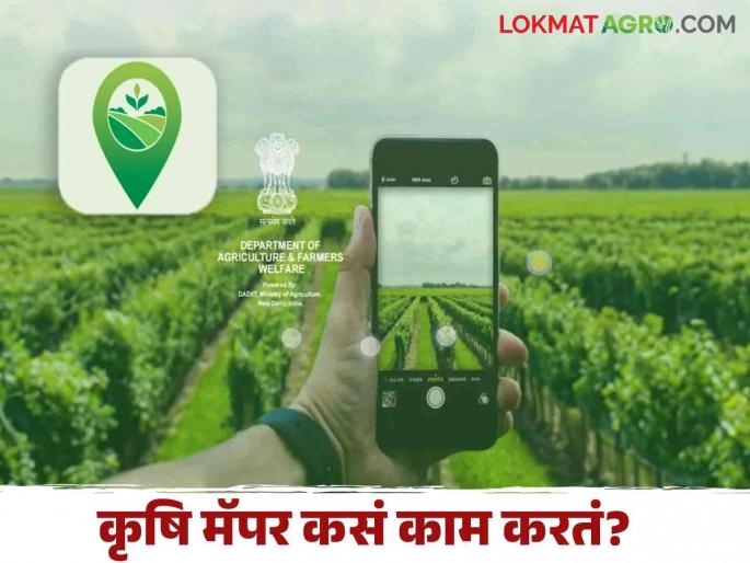 Latest News agriculture News How and what does the krishi Mapper app work Know in detail  | Krishi Mapper : कृषि मॅपर अँप कसं आणि काय काम करतं? जाणून घ्या सविस्तर  Latest News agriculture News How and what does the krishi Mapper app work Know in detail  | Krishi Mapper : कृषि मॅपर अँप कसं आणि काय काम करतं? जाणून घ्या सविस्तर