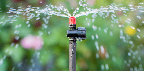 Solapur ranks fifth in freeze distribution | ठिबक अनुदान वितरणात सोलापूर पाचव्या स्थानावर Solapur ranks fifth in freeze distribution | ठिबक अनुदान वितरणात सोलापूर पाचव्या स्थानावर