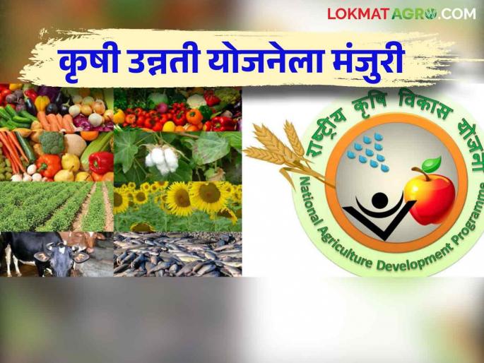 Union Cabinet approves Krishi Unnati Yojana to promote sustainable agriculture | शाश्वत शेतीला प्रोत्साहन देण्यासाठी कृषी उन्नती योजनेला केंद्रीय मंत्रिमंडळाची मंजुरी Union Cabinet approves Krishi Unnati Yojana to promote sustainable agriculture | शाश्वत शेतीला प्रोत्साहन देण्यासाठी कृषी उन्नती योजनेला केंद्रीय मंत्रिमंडळाची मंजुरी