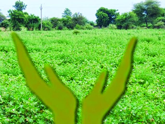 Agriculture Swavalamban and Krushi Kranti Yojana have become known only as FARS | कृषी स्वावलंबन व कृषी क्रांती योजना ठरली केवळ फार्स