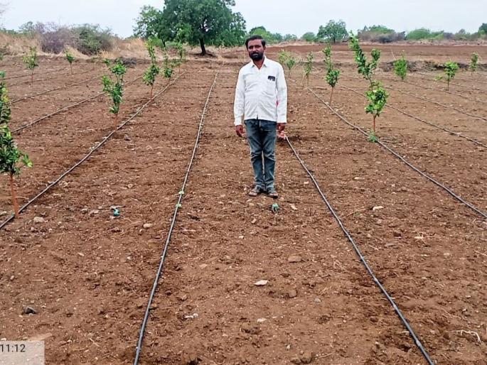 Only four percent of the state sows yet due to lack of monsoon | राज्यात अद्याप केवळ चार टक्के पेरण्या; दुबार पेरण्यांचेही सावट