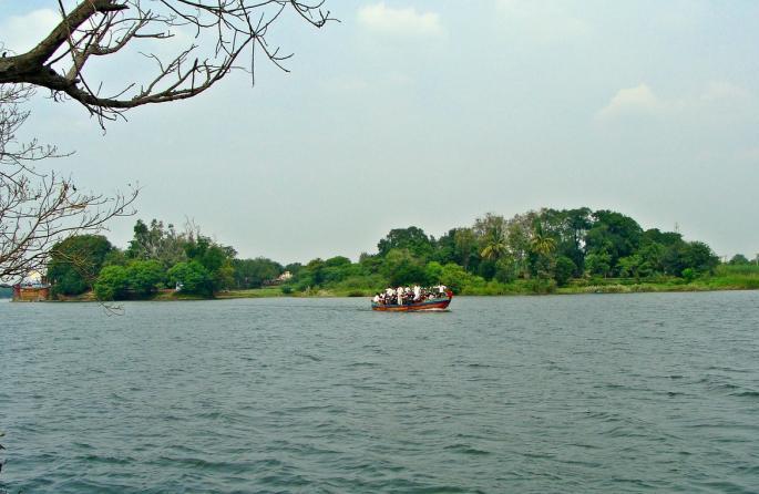 notice to sangli municipal corporation in case of krishna river pollution | कृष्णा नदी प्रदुषण प्रकरणी सांगली महापालिकेला नोटीस