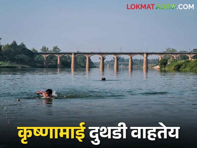 there is drought in the state, but Krishna river flowing full of water | Krishna River राज्यात सगळीकडे दुष्काळ तर, कृष्णाकाठी पाणीच पाणी there is drought in the state, but Krishna river flowing full of water | Krishna River राज्यात सगळीकडे दुष्काळ तर, कृष्णाकाठी पाणीच पाणी