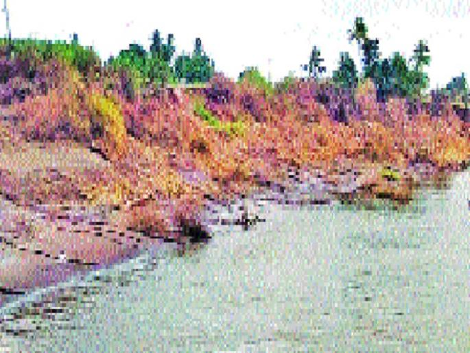 'Krishna' is swallowing land | ‘कृष्णा’ गिळतेय जमिनी --: बोरगाव परिसरातील स्थिती 'Krishna' is swallowing land | ‘कृष्णा’ गिळतेय जमिनी --: बोरगाव परिसरातील स्थिती