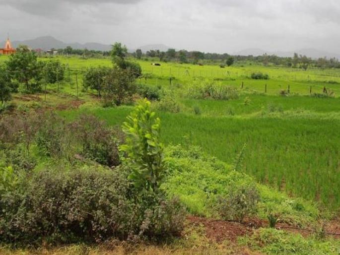 The presence of dead farmers in the counting of land in Karjat! | कर्जतमध्ये जमीन मोजणीत मृत शेतकऱ्याची उपस्थिती! The presence of dead farmers in the counting of land in Karjat! | कर्जतमध्ये जमीन मोजणीत मृत शेतकऱ्याची उपस्थिती!