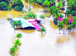 Atrocities against nature will be annihilated | निसर्गावर अत्याचार केल्यास सर्वनाश होईल