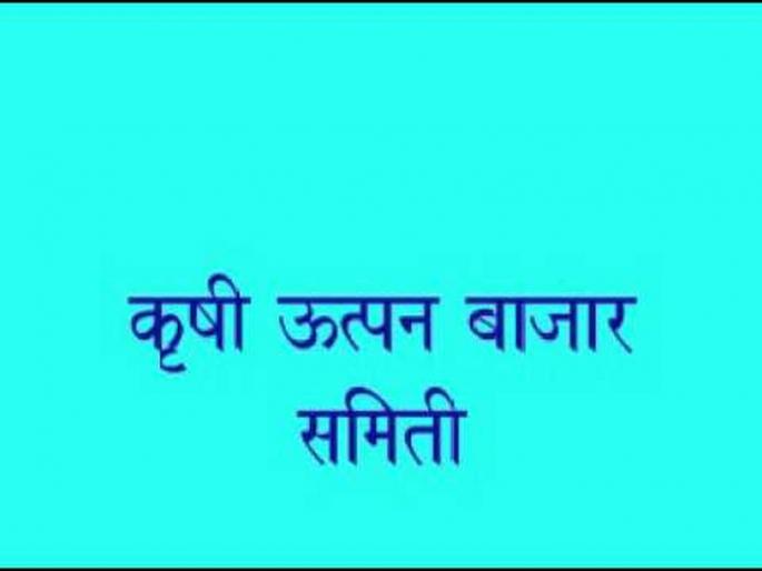 7 more directors on the Motala Market Committee! | मोताळा बाजार समितीवर आणखी ७ संचालक! 7 more directors on the Motala Market Committee! | मोताळा बाजार समितीवर आणखी ७ संचालक!