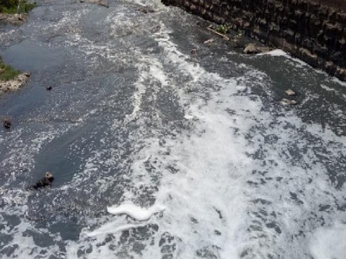 The issue of pollution of Krishna River is serious in Sangli, Measures failed | सांगलीत कृष्णा नदीची गटारगंगा, जबाबदार कोण?; उपाययोजना ठरल्या फोल The issue of pollution of Krishna River is serious in Sangli, Measures failed | सांगलीत कृष्णा नदीची गटारगंगा, जबाबदार कोण?; उपाययोजना ठरल्या फोल