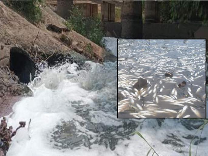 Sewage of 104 villages mixes with Krishna, Warna river; 13 crores sanctioned by the government for management | कृष्णा, वारणा नदीत मिसळते १०४ गावांचे सांडपाणी; व्यवस्थापनासाठी शासनाकडून १३ कोटींचा निधी मंजूर Sewage of 104 villages mixes with Krishna, Warna river; 13 crores sanctioned by the government for management | कृष्णा, वारणा नदीत मिसळते १०४ गावांचे सांडपाणी; व्यवस्थापनासाठी शासनाकडून १३ कोटींचा निधी मंजूर