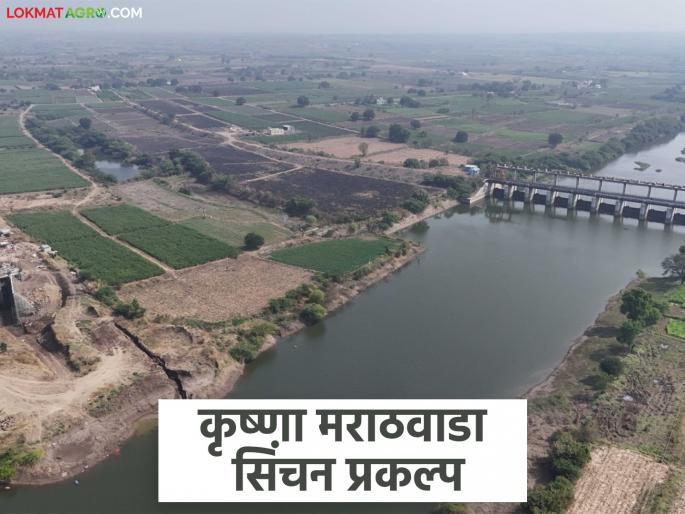 latest news Krishna Marathwada Project: A new beginning of irrigation in Marathwada; Krishna water will soon reach Shivara | Krishna Marathwada Project : मराठवाड्यात सिंचनाचा नवा आरंभ; कृष्णेचे पाणी लवकरच शिवारात पोहोचणार