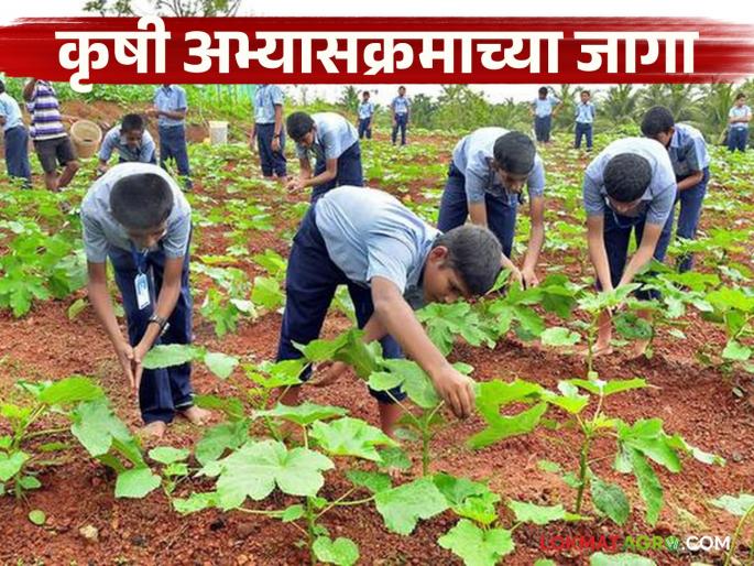 Latest News agriculture courses 18 percent seats in 'Agri' course are vacant in maharashtra | Agriculture Courses : कृषी शिक्षणाकडे कल घटतोय, राज्यात 'ॲग्री' अभ्यासक्रमात 18 टक्के जागा रिक्त