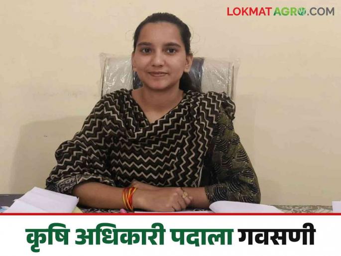 Latest News MPSC Success Story farmer daughter become Sub-Divisional Agriculture Officer though mpsc | MPSC Success Story : अल्पभूधारक शेतकऱ्याची लेक झाली उपविभागीय कृषी अधिकारी, वाचा यशोगाथा  Latest News MPSC Success Story farmer daughter become Sub-Divisional Agriculture Officer though mpsc | MPSC Success Story : अल्पभूधारक शेतकऱ्याची लेक झाली उपविभागीय कृषी अधिकारी, वाचा यशोगाथा