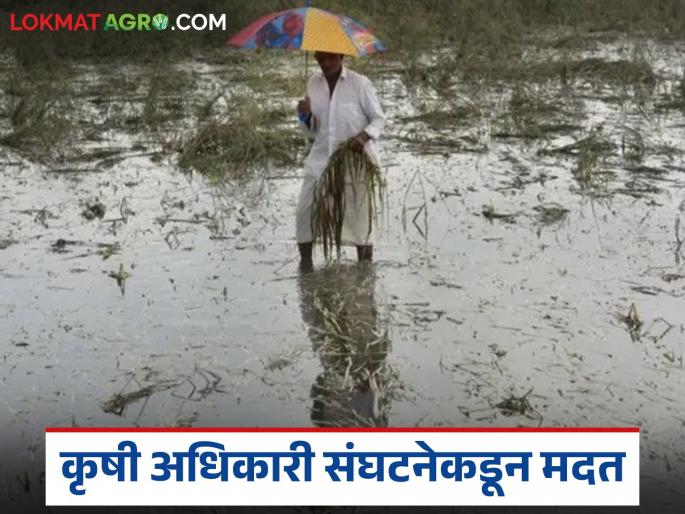 Latest news agriculture news Assistant Agriculture Officer decides to give one day's salary to affected farmers | कृषिमंत्री साहेब, आमचा एका दिवसाचा पगार शेतकऱ्यांच्या खात्यावर वर्ग करा, वाचा सविस्तर 
