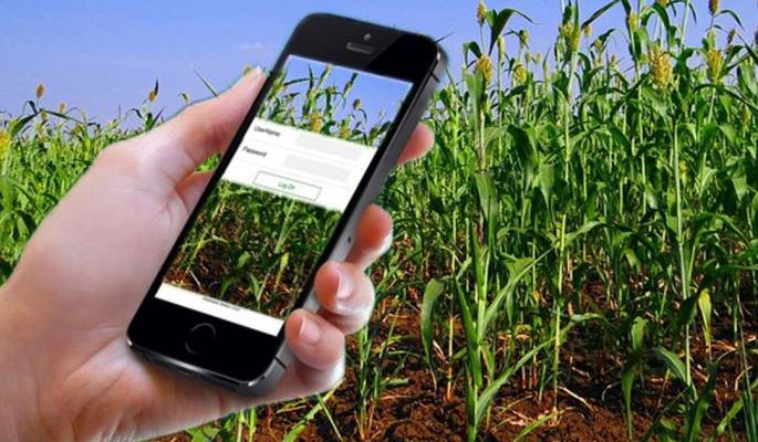'Mobile anchor' with the victim in an age of innovation! | नवतंत्रज्ञानाच्या युगात बळीराजाच्या सोबतीला ‘मोबाइल अँप’! 'Mobile anchor' with the victim in an age of innovation! | नवतंत्रज्ञानाच्या युगात बळीराजाच्या सोबतीला ‘मोबाइल अँप’!