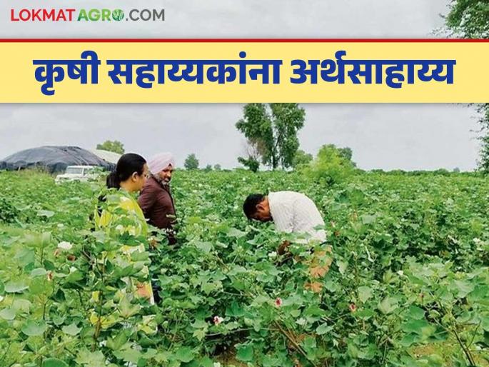 latest news Agricultural assistants will get financial assistance of Rs 20 per farmer see details | Agriculture News : कृषी सहाय्यकांना प्रति शेतकरी 'इतके' अर्थसहाय्य मिळणार? नवीन शासन निर्णय जाहीर  latest news Agricultural assistants will get financial assistance of Rs 20 per farmer see details | Agriculture News : कृषी सहाय्यकांना प्रति शेतकरी 'इतके' अर्थसहाय्य मिळणार? नवीन शासन निर्णय जाहीर