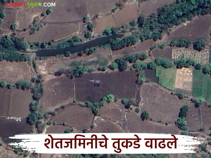 Krushi Ganana : Shocking information came out from the state's agricultural census; Increase in the number of farmers but... | Krushi Ganana : राज्याच्या कृषी गणनेतून धक्कादायक माहिती आली पुढे; शेतकऱ्यांच्या संख्येत वाढ पण... Krushi Ganana : Shocking information came out from the state's agricultural census; Increase in the number of farmers but... | Krushi Ganana : राज्याच्या कृषी गणनेतून धक्कादायक माहिती आली पुढे; शेतकऱ्यांच्या संख्येत वाढ पण...