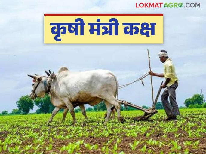 Latest News Agriculture News Agriculture Minister's War Room' in every district, how will it work, read in detail | Agriculture News : प्रत्येक जिल्ह्यात 'कृषी मंत्री कक्ष', कसे असेल कामकाज, वाचा सविस्तर  Latest News Agriculture News Agriculture Minister's War Room' in every district, how will it work, read in detail | Agriculture News : प्रत्येक जिल्ह्यात 'कृषी मंत्री कक्ष', कसे असेल कामकाज, वाचा सविस्तर