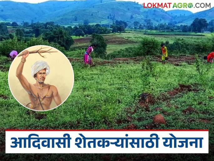 Latest News Adivasi Divas Krishi Kranti Yojana implementing various schemes for tribal farmers |  नवीन विहिरीपासून ते विविध अवजारांपर्यंत अनुदान, काय आहे बिरसा मुंडा कृषी क्रांती योजना? 