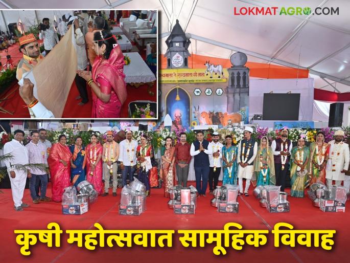 Latest News Agriculture News Mass marriage at Nashik's World Agriculture Festival read in detail | नाशिकच्या जागतिक कृषी महोत्सवात 'या' जोडप्यांचे सामूहिक शुभमंगल, वाचा सविस्तर 