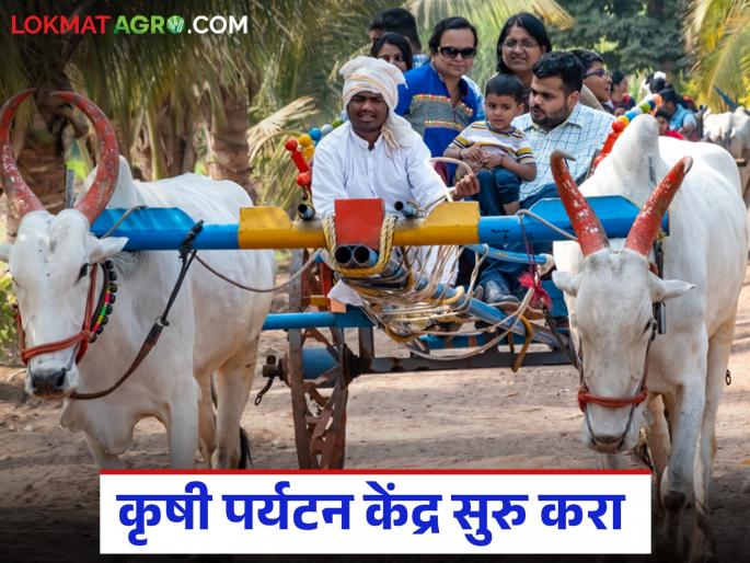 latest News krushi Paryatan Start an agri-tourism center with 30 percent subsidy and earn good profits, read in detail | 30 टक्के अनुदानातून कृषी पर्यटन केंद्र सुरु करा अन् लाखोंचा नफा कमवा, वाचा सविस्तर 