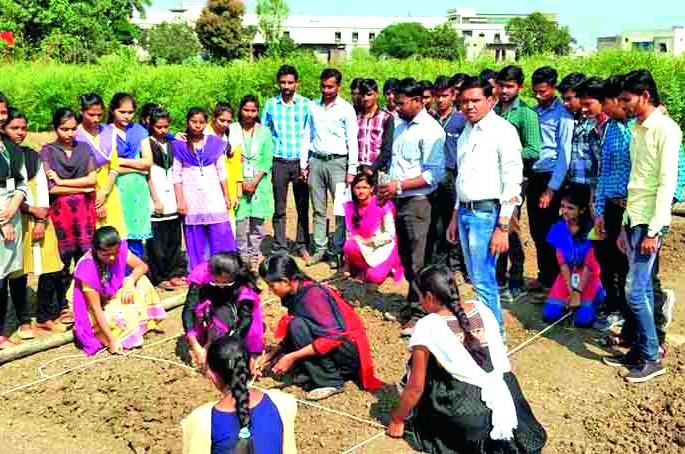 Students 'agricultural laboratory'! | विद्यार्थ्यांची ‘कृषी प्रयोगशाळा’! Students 'agricultural laboratory'! | विद्यार्थ्यांची ‘कृषी प्रयोगशाळा’!
