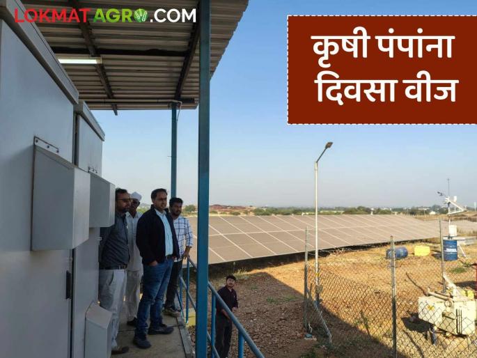 latest news 4-megawatt solar power project has been set up at Mohadi in Dindori taluka of Nashik district. | नाशिक जिल्ह्यातील कृषी पंपांना दिवसा वीज मिळणार, इथे उभारला 4 मेगावॅटचा सौर प्रकल्प latest news 4-megawatt solar power project has been set up at Mohadi in Dindori taluka of Nashik district. | नाशिक जिल्ह्यातील कृषी पंपांना दिवसा वीज मिळणार, इथे उभारला 4 मेगावॅटचा सौर प्रकल्प