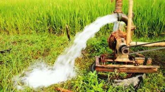 Agricultural pump connection policy soon | कृषिपंप जोडणीचे धोरण लवकरच Agricultural pump connection policy soon | कृषिपंप जोडणीचे धोरण लवकरच