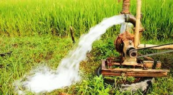 So many agricultural pump holders in Ichalkaranji division became debt free | दिलासा; इचलकरंजी विभागातील 'इतके' कृषिपंपधारक झाले थकबाकीमुक्त So many agricultural pump holders in Ichalkaranji division became debt free | दिलासा; इचलकरंजी विभागातील 'इतके' कृषिपंपधारक झाले थकबाकीमुक्त