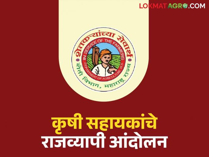 Strike of agricultural assistants in the state on the eve of Kharif; What are the demands? | खरीपाच्या तोंडावर राज्यातील कृषी सहायकांचे असहकार आंदोलन; काय आहेत मागण्या?