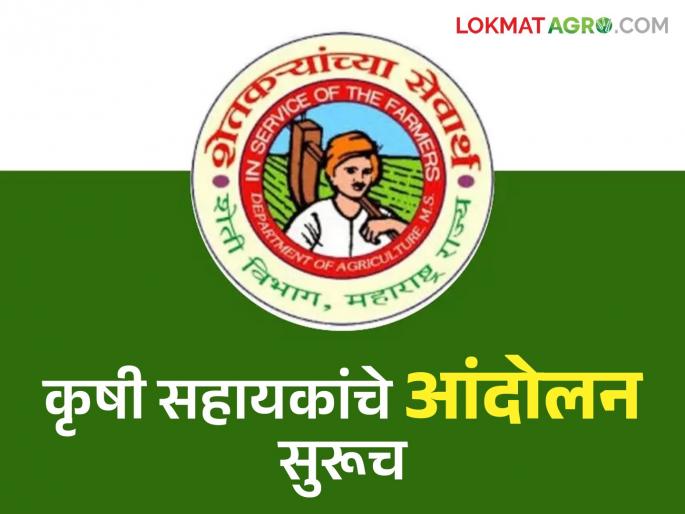 Warning of complete work stoppage from May 15 if demands of agricultural assistants are not complete | कृषी सहायकांच्या मागण्या मान्य न झाल्यास १५ मेपासून पूर्ण काम बंद आंदोलनाचा इशारा