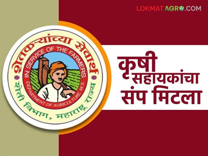 Agricultural assistants' strike called off; what demands were accepted? Find out in detail | कृषी सहायकांचा संप मागे; कोणकोणत्या मागण्या झाल्या मान्य? जाणून घ्या सविस्तर