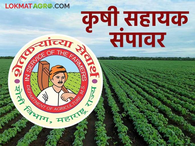 Eight and a half thousand agricultural assistants on strike from today ahead of the Kharif season in the state | राज्यात ऐन खरीप हंगामाच्या तोंडावर साडेआठ हजार कृषी सहायक आजपासून संपावर
