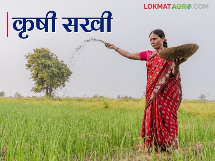 Krishi Sakhi will implement the agricultural campaign | Natural Farming : राष्ट्रीय नैसर्गिक शेती अभियानाची कास कृषी सखीच्या हाती Krishi Sakhi will implement the agricultural campaign | Natural Farming : राष्ट्रीय नैसर्गिक शेती अभियानाची कास कृषी सखीच्या हाती