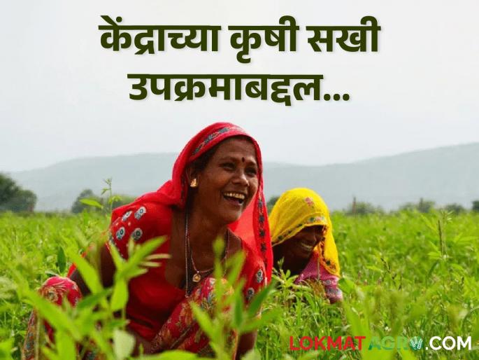 Latest News Krishi Sakhi scheme know about central government krushi sakhi project | Krushi sakhi : जमीन मशागतीपासून पीक कापणीपर्यंत, आता कृषी सखी थेट तुमच्या बांधावर, काय आहे हा प्रकल्प?  Latest News Krishi Sakhi scheme know about central government krushi sakhi project | Krushi sakhi : जमीन मशागतीपासून पीक कापणीपर्यंत, आता कृषी सखी थेट तुमच्या बांधावर, काय आहे हा प्रकल्प?
