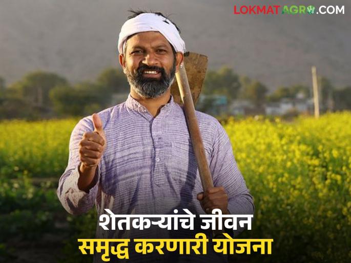Provision of Rs 25,000 crores for farmers under this scheme; Benefit money will be deposited directly into the account | शेतकऱ्यांसाठी 'ह्या' योजनेतून २५ हजार कोटींची तरतूद; लाभाचे पैसे थेट खात्यात जमा होणार