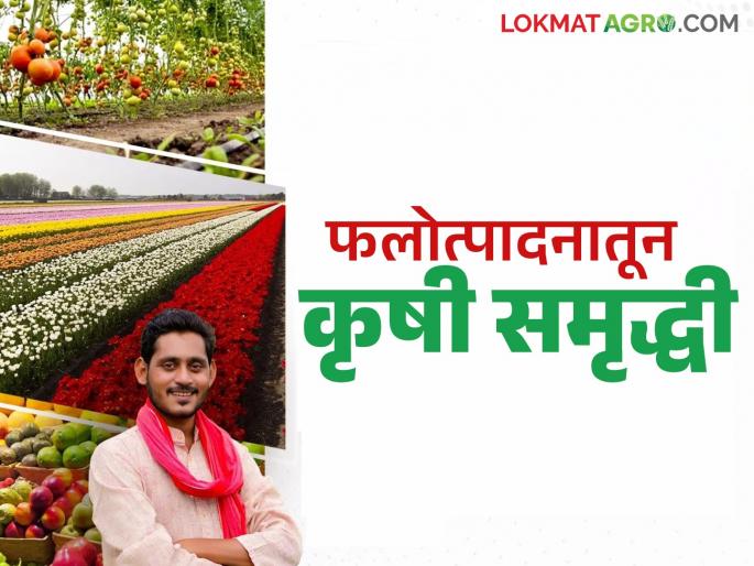 Subsidies to 'these' components under horticulture in the Agricultural Prosperity Scheme; How much subsidy is being received for what? | कृषी समृद्धी योजनेत फलोत्पादन अंतर्गत 'या' घटकांना अनुदान; कशाला मिळंतय किती अनुदान?