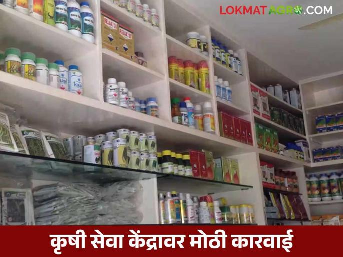 Agriculture Department suspends 8 agricultural licenses in Jalgaon district, issues stern warning to 10 vendors; Read what's the matter | कृषी विभागाकडून जळगाव जिल्ह्यातील ८ कृषी परवाने निलंबित तर १० विक्रेत्यांना सक्त ताकीद; वाचा काय आहे प्रकरण