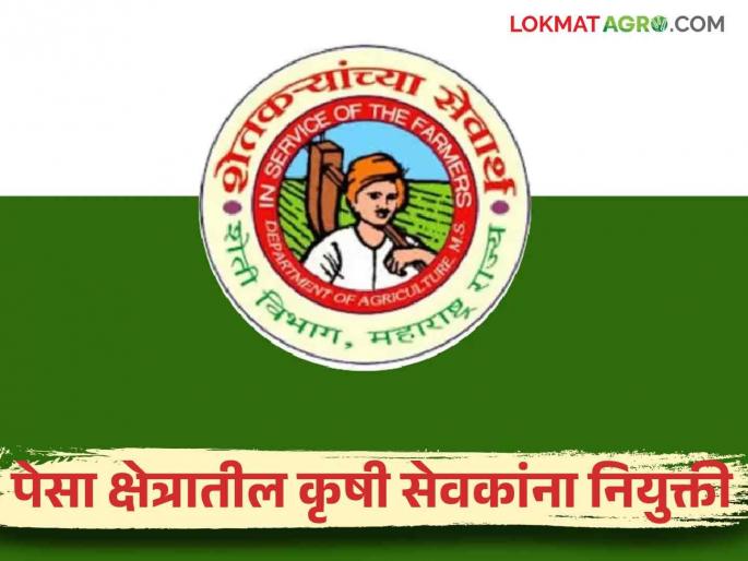 Krushi Sevak Bharti : Recruitment of 365 krushi sevak in the PESA sector will be appoint soon | Krushi Sevak Bharti : पेसा क्षेत्रातील ३६५ कृषीसेवकांच्या पदभरतीचा मार्ग मोकळा लवकरच नियुक्त्या Krushi Sevak Bharti : Recruitment of 365 krushi sevak in the PESA sector will be appoint soon | Krushi Sevak Bharti : पेसा क्षेत्रातील ३६५ कृषीसेवकांच्या पदभरतीचा मार्ग मोकळा लवकरच नियुक्त्या