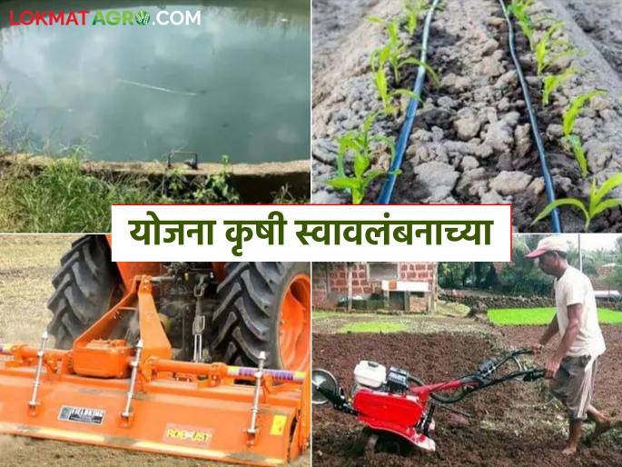 You can get the benefit of 12 factors from this one scheme of the Agriculture Department; Know the details | कृषी विभागाच्या ह्या एका योजनेतून घेता येतोय १२ घटकांचा लाभ; जाणून घ्या सविस्तर You can get the benefit of 12 factors from this one scheme of the Agriculture Department; Know the details | कृषी विभागाच्या ह्या एका योजनेतून घेता येतोय १२ घटकांचा लाभ; जाणून घ्या सविस्तर