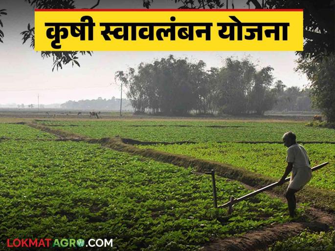 Krushi Swavalamban Yojana : Participate in Agriculture Swavalamban Yojana; Get up to 90 percent subsidy | Krushi Swavalamban Yojana : कृषी स्वावलंबन योजनेत सहभागी व्हा; ९० टक्क्यांपर्यंत अनुदान मिळवा Krushi Swavalamban Yojana : Participate in Agriculture Swavalamban Yojana; Get up to 90 percent subsidy | Krushi Swavalamban Yojana : कृषी स्वावलंबन योजनेत सहभागी व्हा; ९० टक्क्यांपर्यंत अनुदान मिळवा