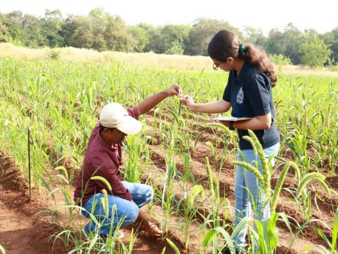 In Maharashtra, Now learn agriculture from the first grade; Agriculture subject to be included in the school curriculum step by step | आता पहिलीपासूनच शिका शेती; शालेय अभ्यासक्रमात टप्प्याटप्प्याने कृषी विषयाचा समावेश