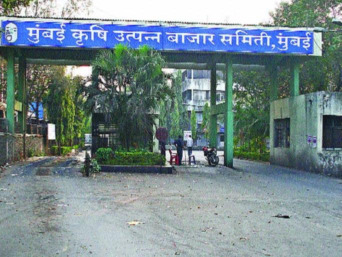 Low intake of spices with grains increase in the price of peas tomatoes cabbage in mumbai | धान्यसह मसाल्याची आवक कमीच; वाटाणा, टोमॅटो कोबीच्या दरात वाढ Low intake of spices with grains increase in the price of peas tomatoes cabbage in mumbai | धान्यसह मसाल्याची आवक कमीच; वाटाणा, टोमॅटो कोबीच्या दरात वाढ