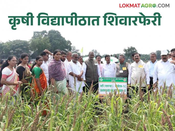 Poshinda farmers of the world need the use of modern technology for real financial prosperity | जगाचा पोशिंदा शेतकरी खऱ्या अर्थाने आर्थिक संपन्नतेसाठी आधुनिक तंत्रज्ञान वापर गरजेचा Poshinda farmers of the world need the use of modern technology for real financial prosperity | जगाचा पोशिंदा शेतकरी खऱ्या अर्थाने आर्थिक संपन्नतेसाठी आधुनिक तंत्रज्ञान वापर गरजेचा