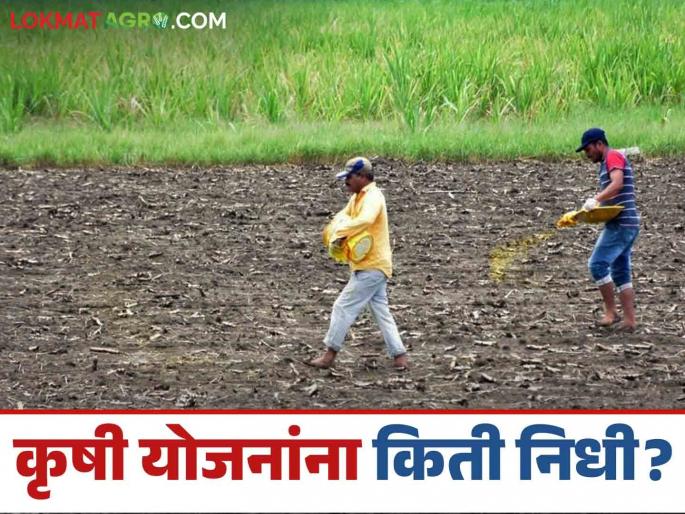 Latest news Agriculture News Pm Kisan Pik Vima Yojana how much money was received for agricultural schemes | Agriculture Scheme Budget : पीक विम्याचे बजेट झालं कमी, पीएम किसान हफ्ता जैसे थे, कृषी योजनांसाठी किती पैसे मिळाले? Latest news Agriculture News Pm Kisan Pik Vima Yojana how much money was received for agricultural schemes | Agriculture Scheme Budget : पीक विम्याचे बजेट झालं कमी, पीएम किसान हफ्ता जैसे थे, कृषी योजनांसाठी किती पैसे मिळाले?
