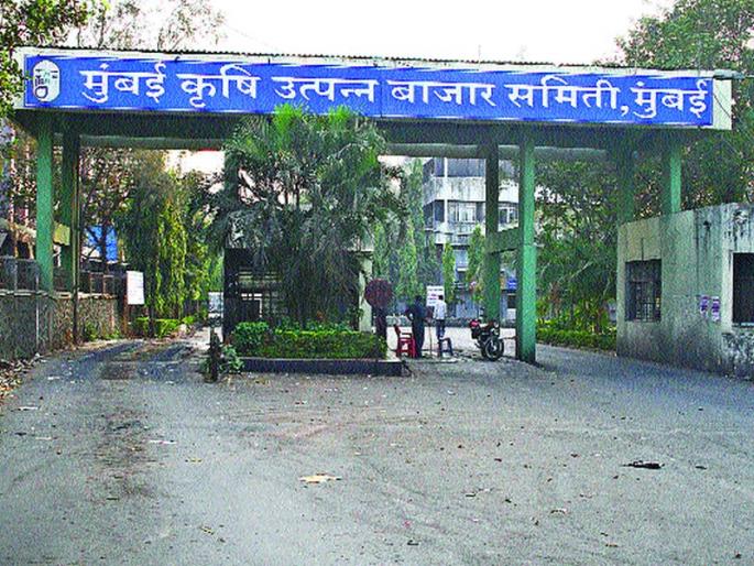 The Agricultural Produce Market Committee is on track | कृषी उत्पन्न बाजार समिती तूर्त रुळावर The Agricultural Produce Market Committee is on track | कृषी उत्पन्न बाजार समिती तूर्त रुळावर
