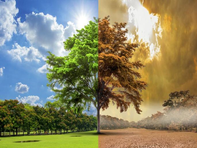 World Environment Day : Rain in summer, heat in monsoon, who will understand these changes in nature? | जागतिक पर्यावरण दिन विशेष : उन्हाळ्यात पाऊस, पावसाळ्यात ऊन, निसर्गाचे हे बदल समजेल काेण? World Environment Day : Rain in summer, heat in monsoon, who will understand these changes in nature? | जागतिक पर्यावरण दिन विशेष : उन्हाळ्यात पाऊस, पावसाळ्यात ऊन, निसर्गाचे हे बदल समजेल काेण?